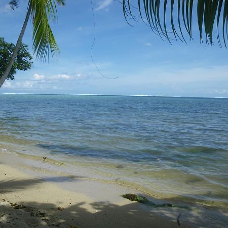 Justmoorea Location Haapiti Exteriér fotografie